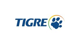 Tigre